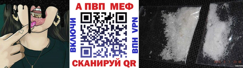 Альфа ПВП СК КРИС  как найти   Сосновый Бор 
