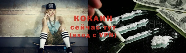 стаф Надым