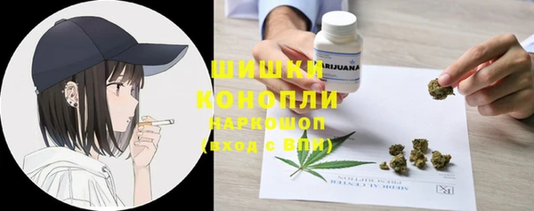 стаф Надым