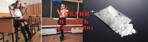 стаф Надым