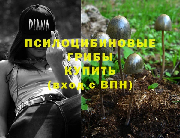 стаф Надым