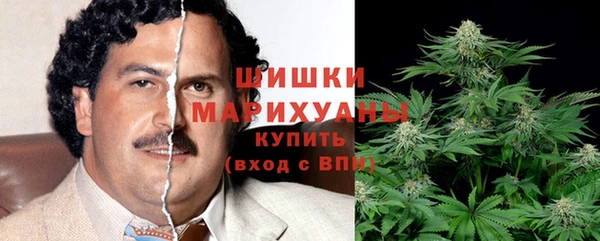 стаф Надым