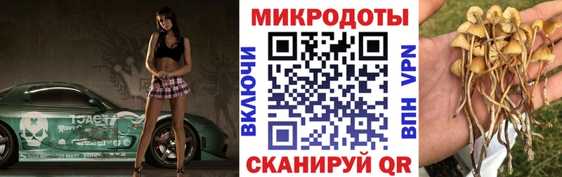 Псилоцибиновые грибы MAGIC MUSHROOMS купить наркотики цена Сосновый Бор