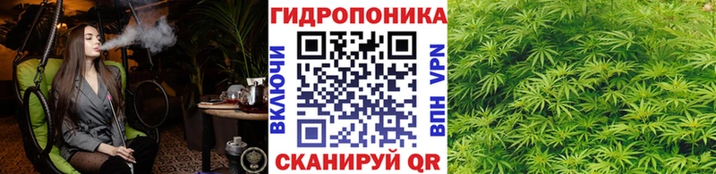 Бошки марихуана AK-47 мега зеркало Сосновый Бор сколько стоит