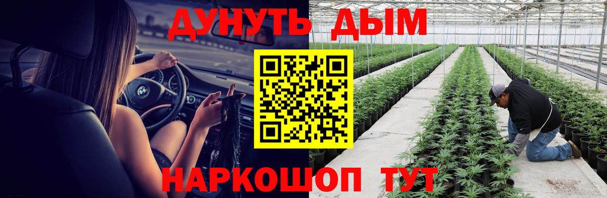 Конопля MAZAR  Бошки Шишки план  Вход с VPN  Бошки Шишки гибрид  Сосновый Бор 